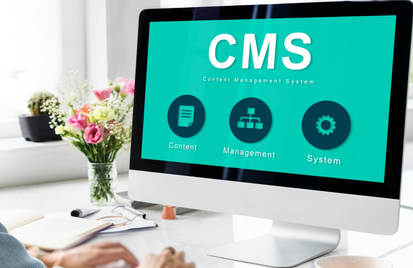 CMS Sistemleri